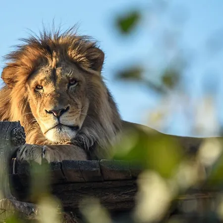 Dunaj 2 Vendégház *